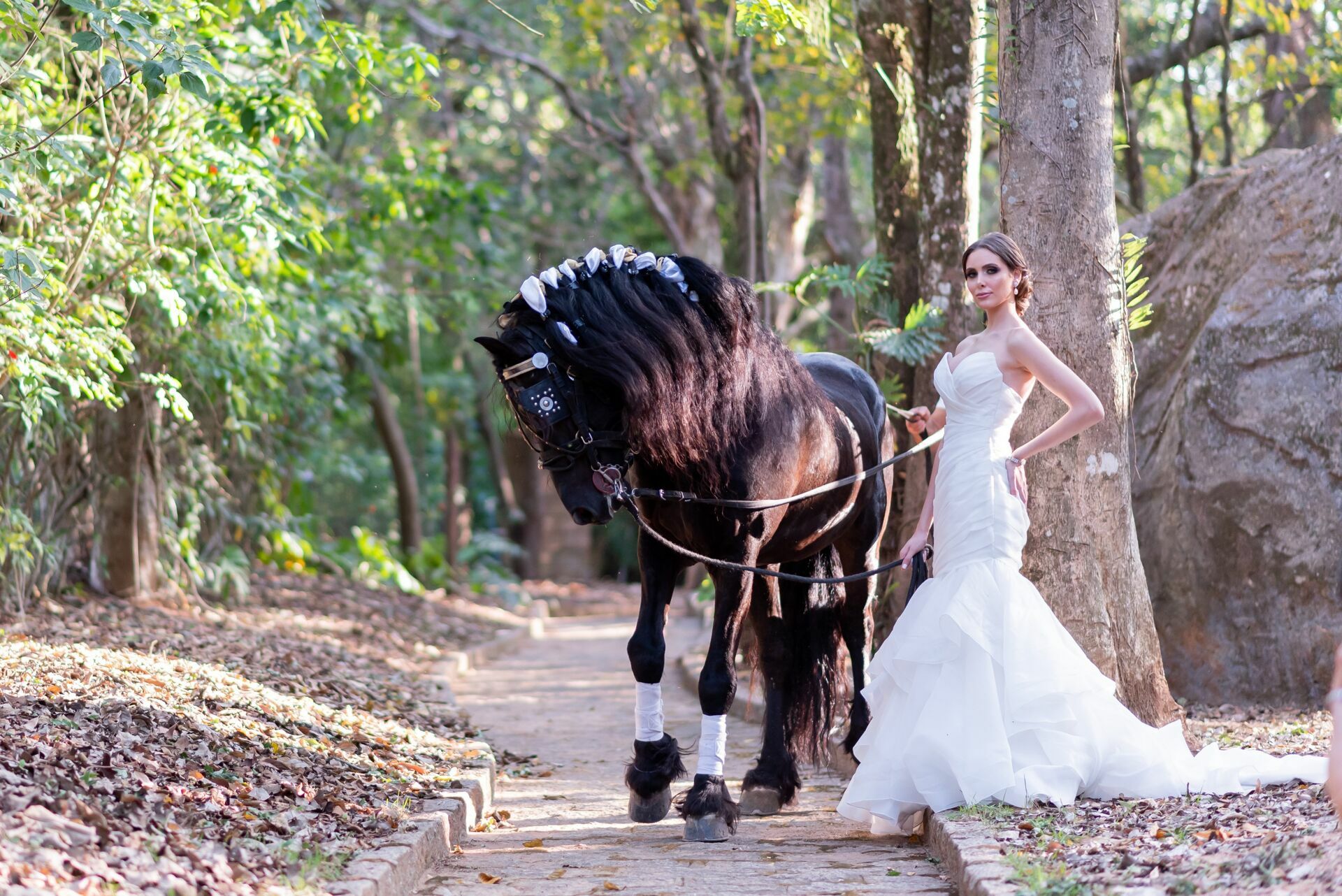 Foto CASTELO DOS VINHAIS - LUCAS FRANZONE  - Imagem 19