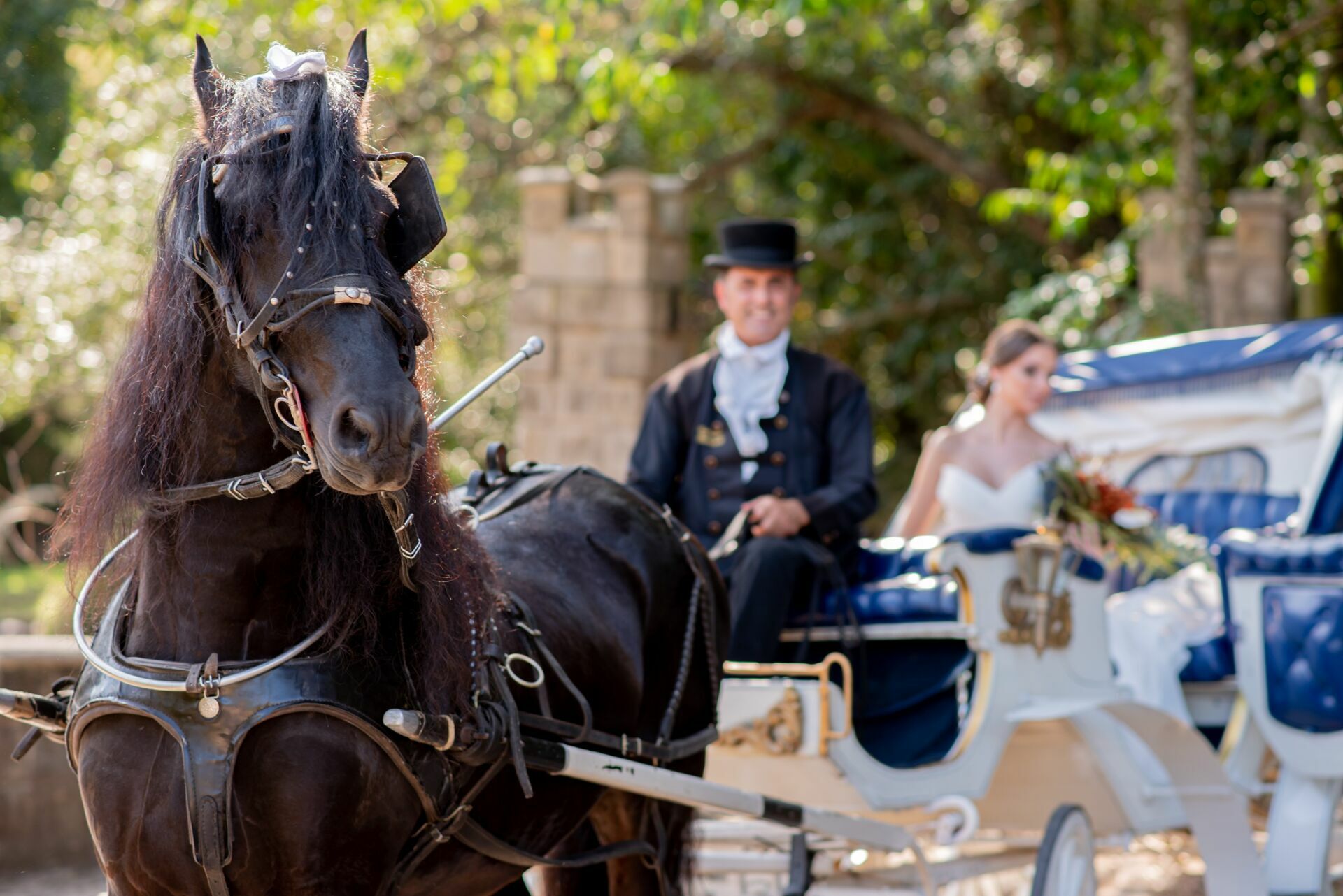 Foto CASTELO DOS VINHAIS - LUCAS FRANZONE  - Imagem 15
